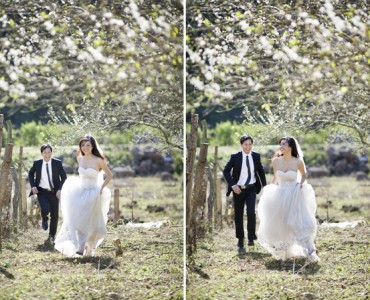 Thuê xe mùa cưới và những điều bạn cần biết
